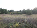 Environs de Montereau 45