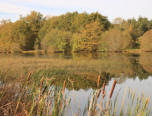 Etang de Langesse
