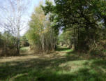Environs de Moulinet sur Solin