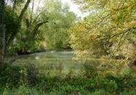 Etang près de Montereau 45