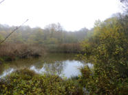 Etang de la Hutte