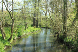 Vallée de la Cléry