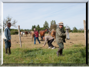 A la sortie du nichoir