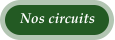 Nos circuits