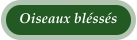 Oiseaux bléssés