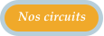 Nos circuits