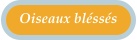 Oiseaux bléssés